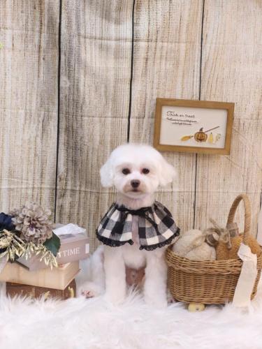 20241025ミルクくん